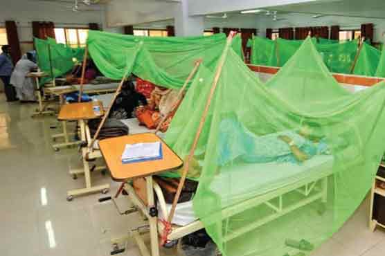 Dengue patients number rises to 207 in Punjab