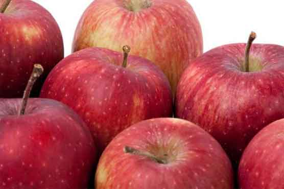 Eat an apple daily to keep heart healthy: study