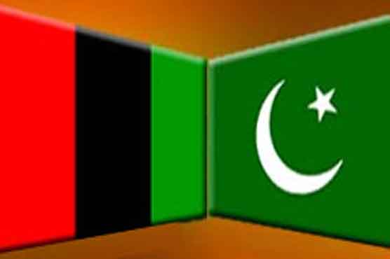 PPP, PML-Q announce joint candidates for by polls