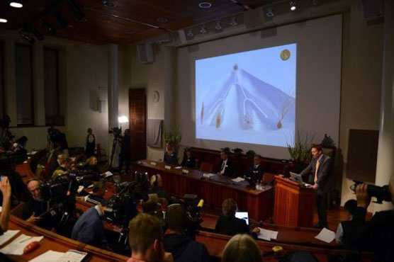 Physics prize up next on Nobel schedule