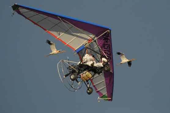  Birds back to a wildlife reserve after Putins stunt 