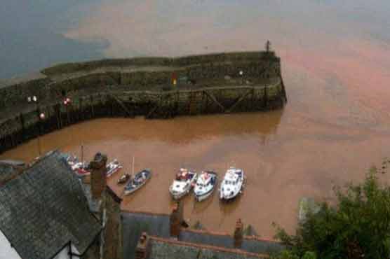 Devon floods turn sea brown