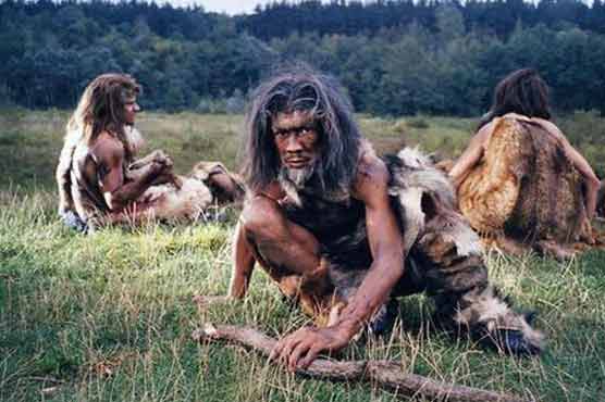 'Prehistoric man ate pandas' 