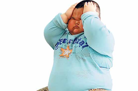 Junk food in schools not responsible for weight gain