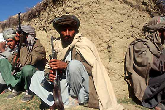 Taliban deny their bombs cause most Afghan deaths 