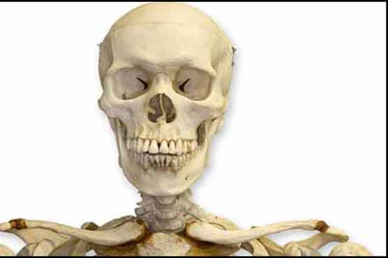 Skeleton of French man found in bed after 15 years 
