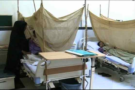Ten new dengue cases appear in Karachi 