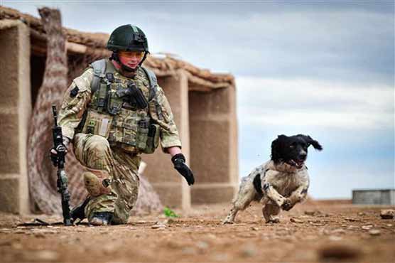 British army dog killed in Afghanistan honoured 