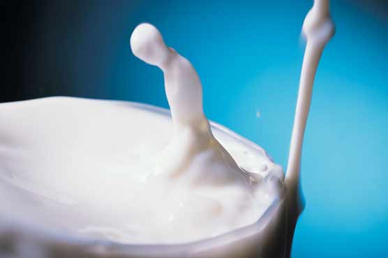 Milk sans sugar harmful