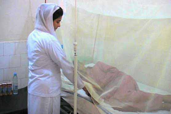 Lahore:Two more dengue cases reported, toll rises 22