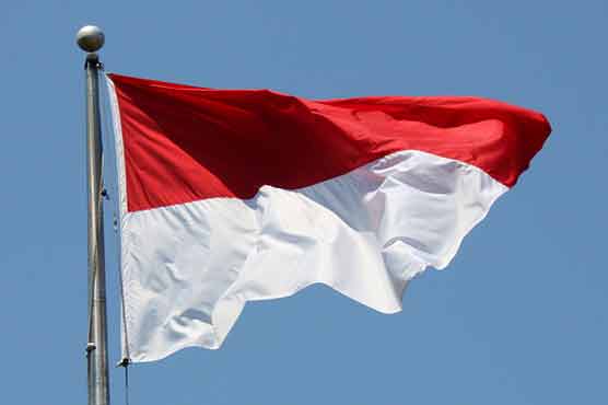 Karachi: Reception held to mark Indonesian IDay