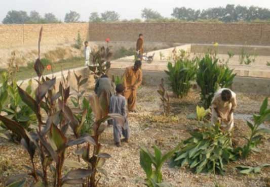 Wetland technology could ease water woes