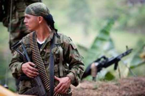 Colombia rebels seek ceasefire 