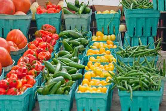 Global food prices flat in August: UN