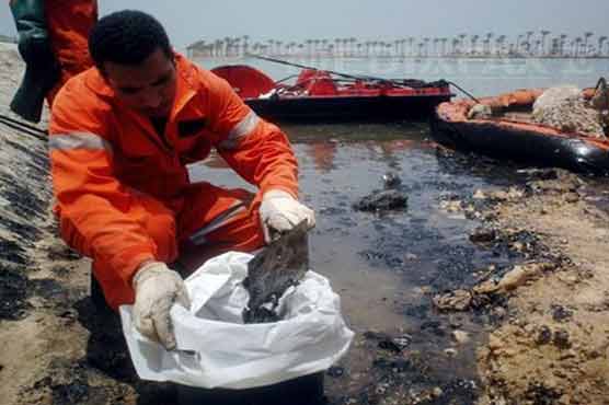 Louisiana beaches oil came from BP spill: tests