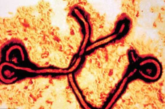 Ebola virus spreads in eastern Congo