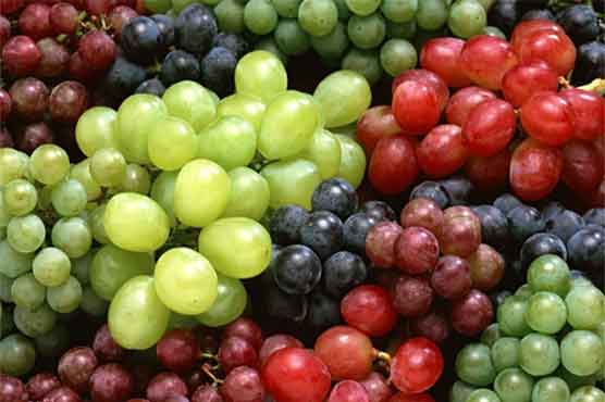 Grape seed shows small effect on blood pressure