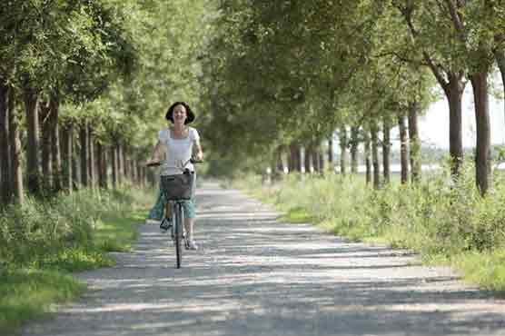 China's films struggle for festival exposure