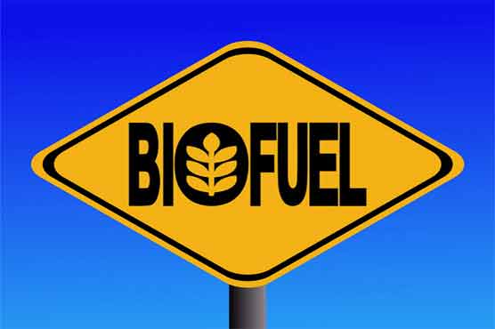  France to use bio-fuel as energy alternative