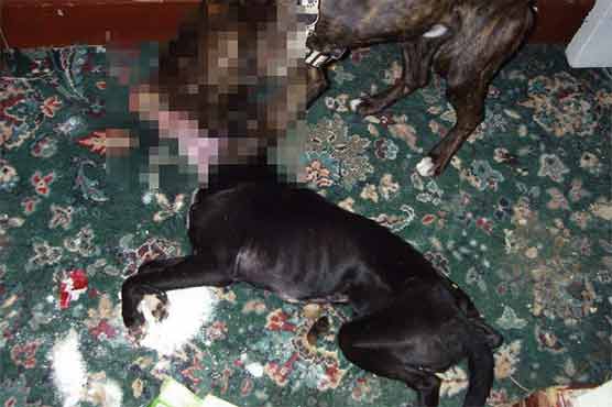 10 dogs pulled from home of dead woman 