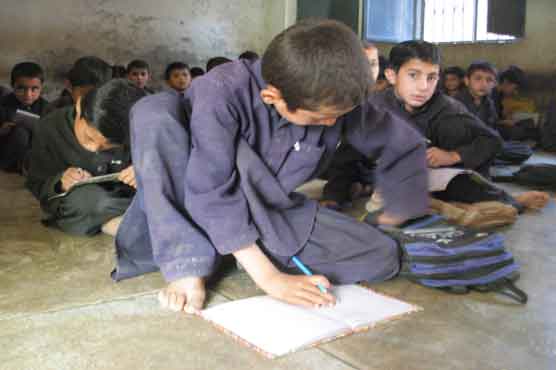 Teaching of fundamental rights at schools stressed
