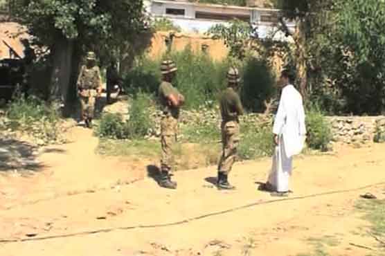 Lower Dir: 13 killed in roadside bomb blast