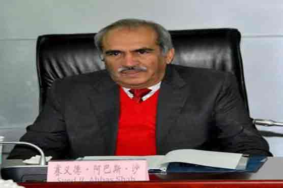 Raghib Abbas appointed as WAPDA Chairman 