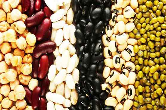 Legumes, brown rice reduce cancer risk 
