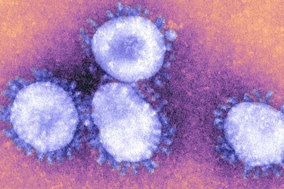 New SARS-like virus detected in Middle East