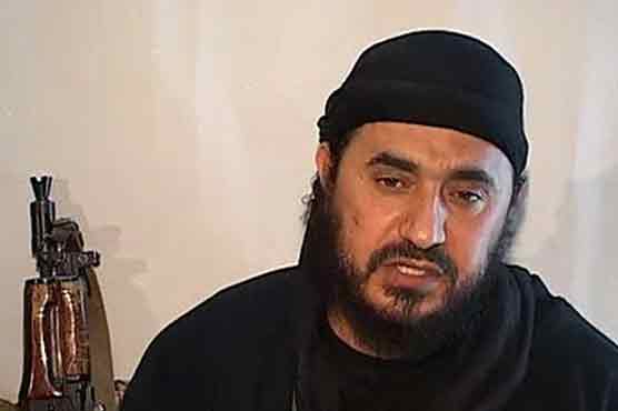 al-Zarqawis nephew held in Jordan