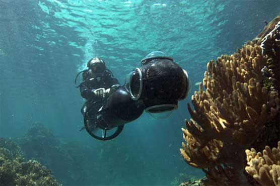 Google offers virtual drive in world's coral reef