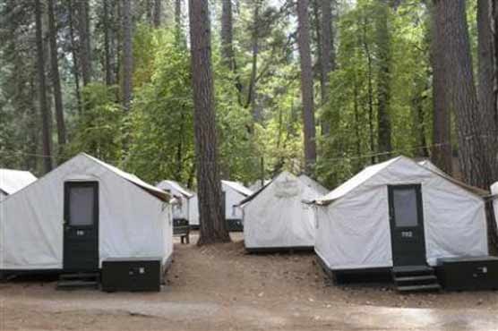 Yosemite Hantavirus outbreak may offer clues to disease