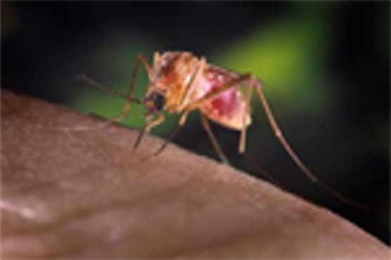 400 more West Nile cases reported in US: CDC