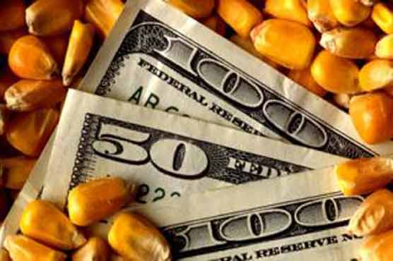Corn prices plunge again on high supplies