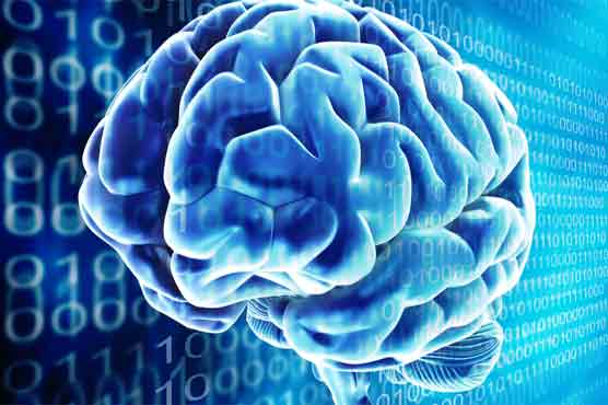 Obama to announce brain mapping project 