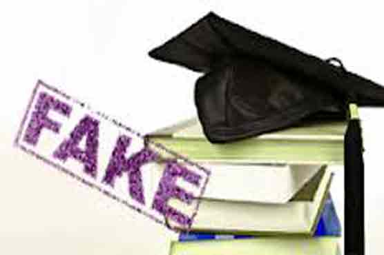 Fake degree: KPK's ex-sports minister sentenced to prison