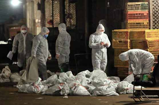 WHO talks with China on sending bird flu team