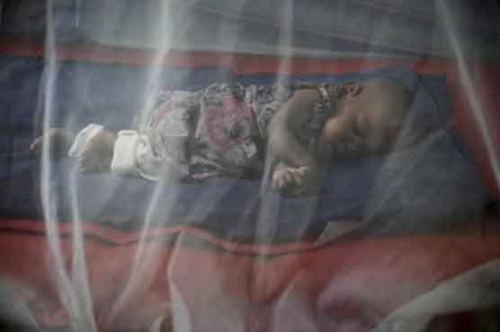 Experts triple estimate of world dengue fever infections