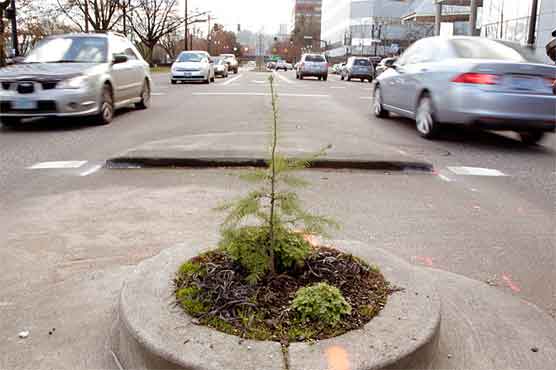 Brits, Americans feud over world's smallest park
