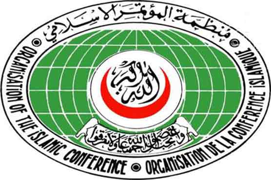 OIC urges Myanmar to allow delegation visit 