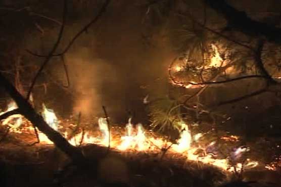 اسلام آباد: مارگلہ پہاڑیوں میں لگنے والے آگ پھیلنے لگی