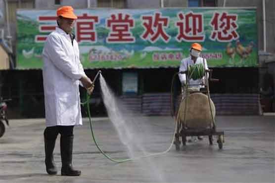 Online pictures of dead birds spur China flu openness