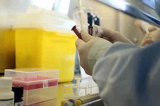 World experts to help China fight bird flue