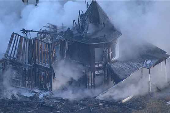 Exotic snakes stuck in Colo. basement after fire