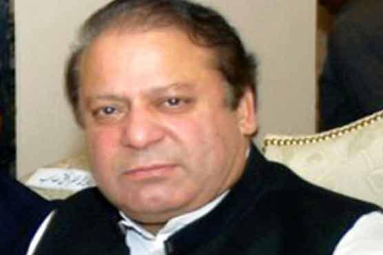 Nawaz's plane makes emergency landing 