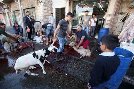 Poland to step up regulations on ritual slaughter 