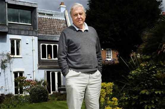 BBC plans 'Tweet of the Day,' radio for birds