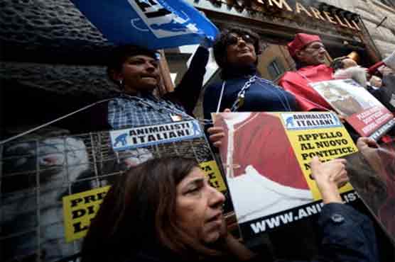  Italy: Animal rights protests a setback to research 