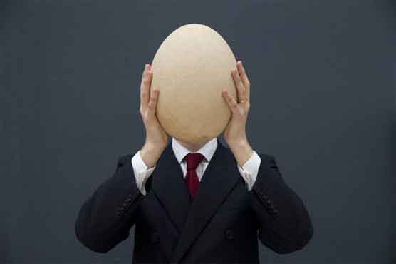 Huge elephant bird egg gets $101,813 at UK auction 