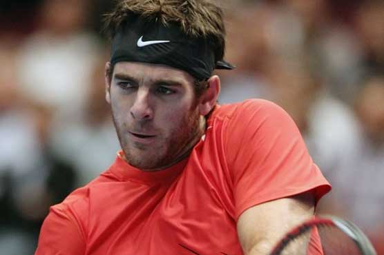 Del Potro beats Harrison in 2 sets at Citi Open